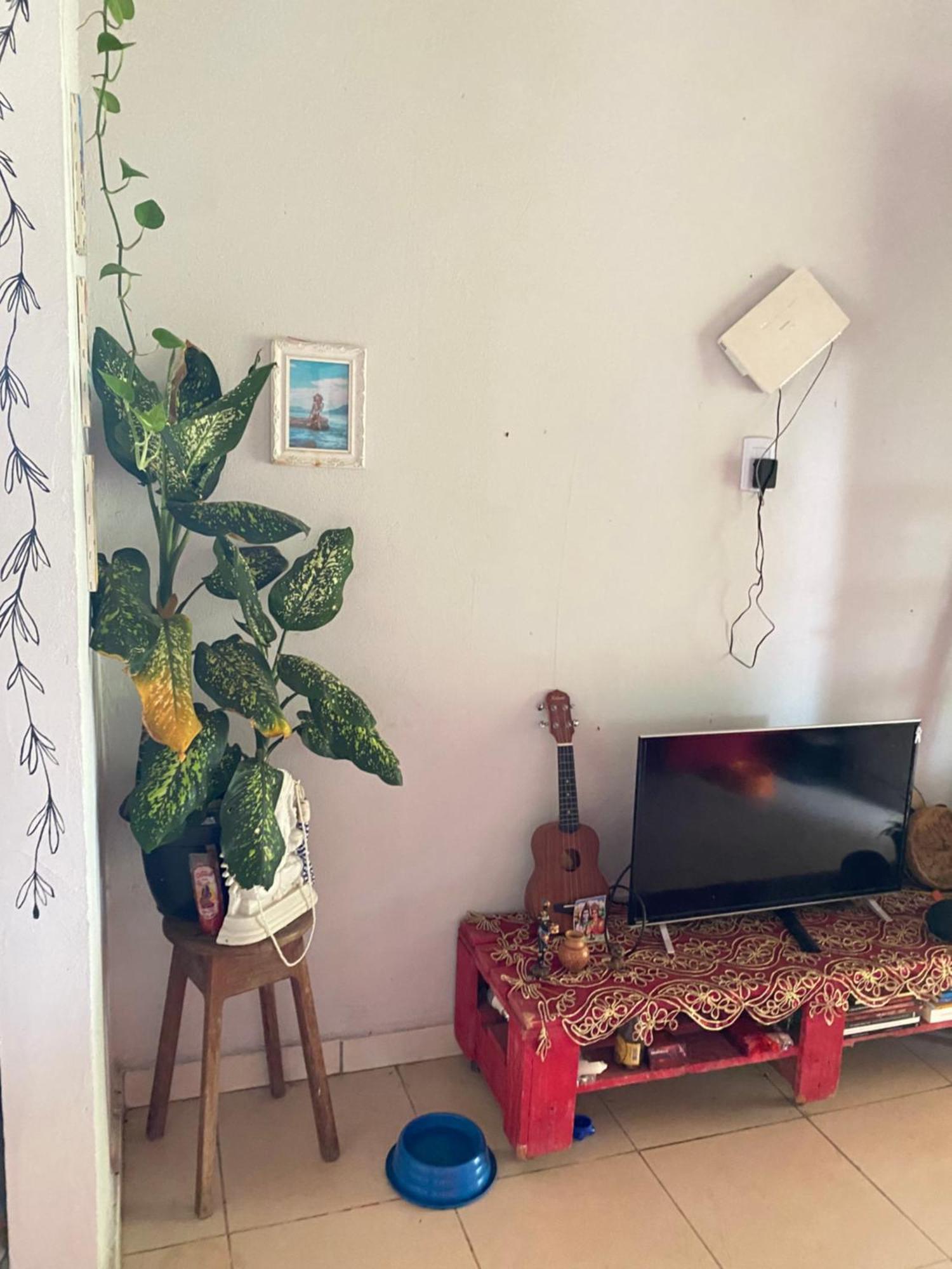 Casa Na Floresta Cosmica Ananindeua Kültér fotó